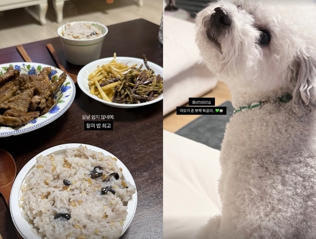 ������ �Ҽȹ̵��