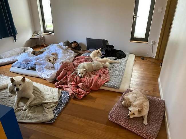 ��ȿ�� �Ҽȹ̵��