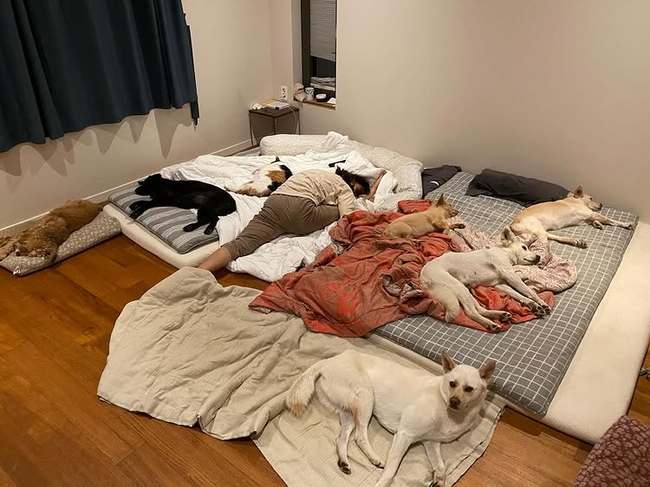 ��ȿ�� �Ҽȹ̵��