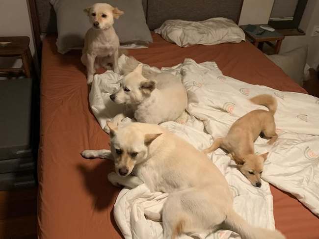 ��ȿ�� �Ҽȹ̵��