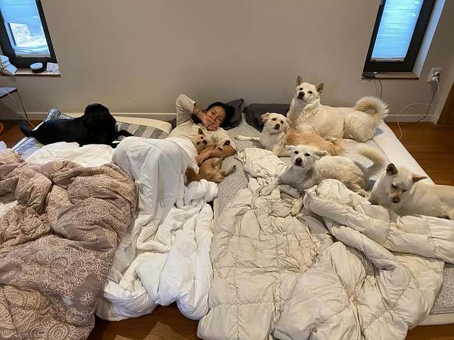 ��ȿ�� �Ҽȹ̵��