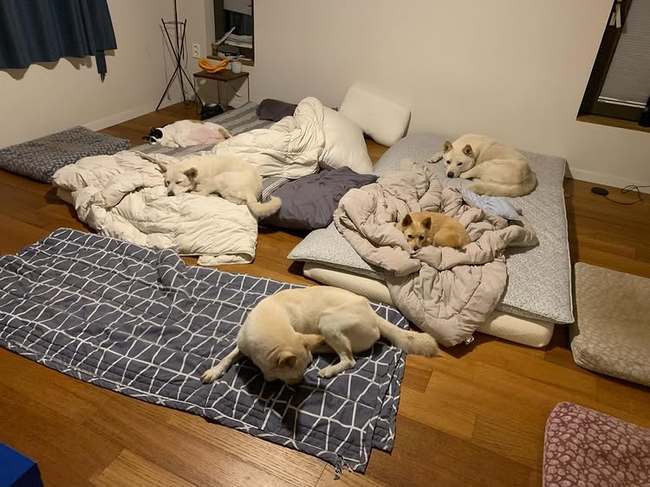 ��ȿ�� �Ҽȹ̵��