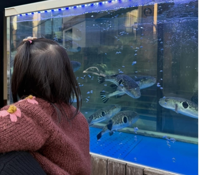 �̹��� �Ҽȹ̵��