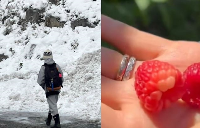 ¼Ò¼È¹Ìµð¾î