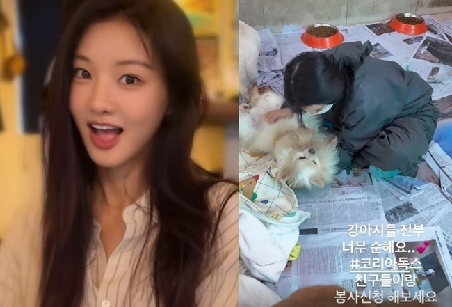 À̼¼Èñ ¼Ò¼È¹Ìµð¾î