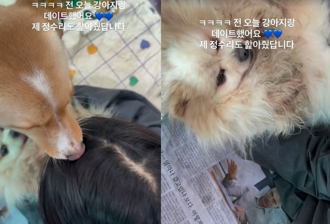 À̼¼Èñ ¼Ò¼È¹Ìµð¾î