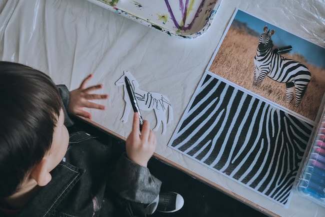 ���¾� �Ҽȹ̵��