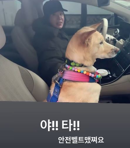 ����ȭ �ҼȰ���