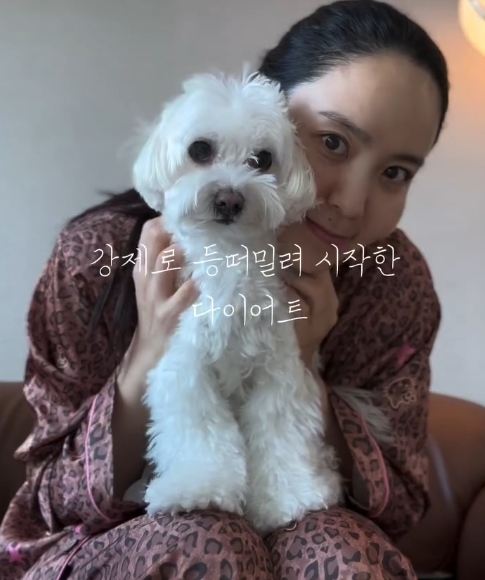 ������ �Ҽȹ̵��