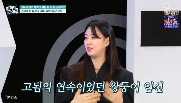 TV���� ������Ʈ��������