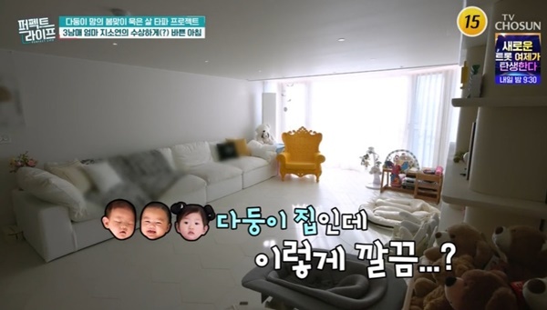 TV���� ������Ʈ��������