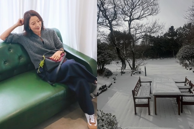 ����� ��ȸ��������� ����