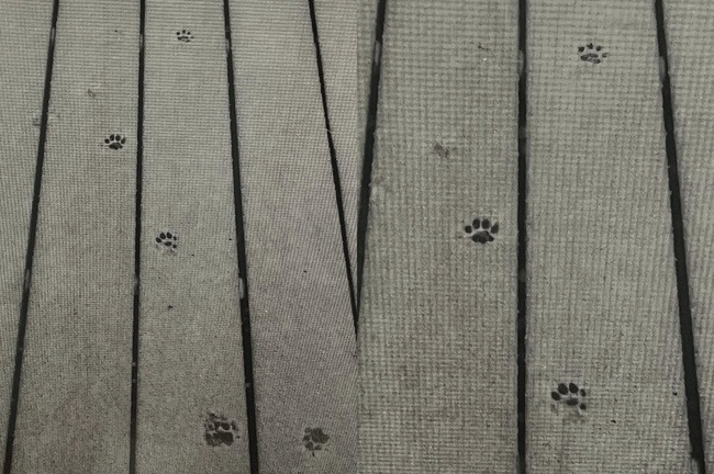 ����� ��ȸ��������� ����