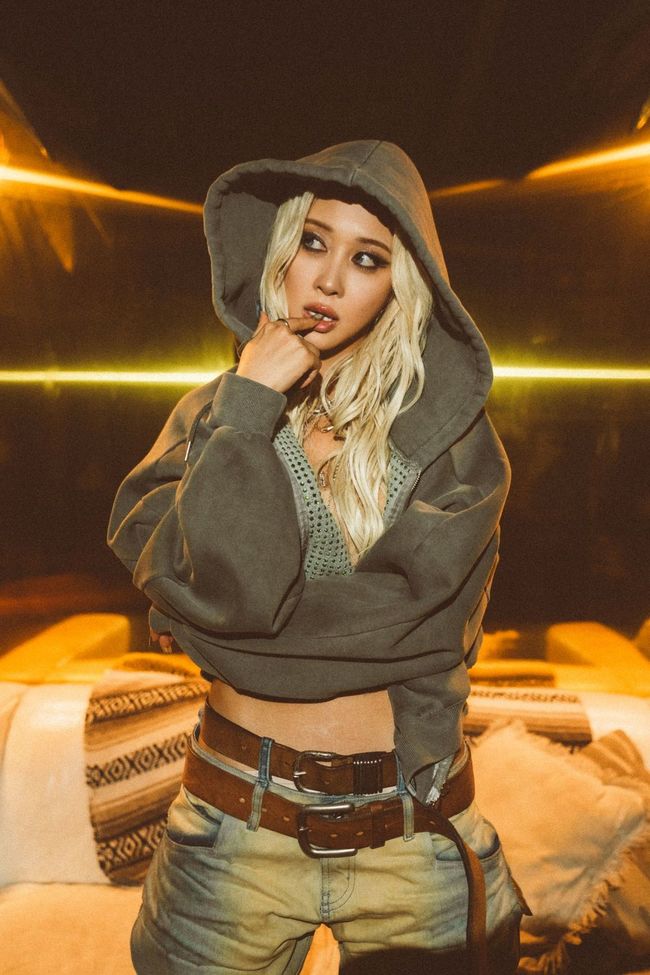 ����=��Ÿ���������θ�Ʈ ����