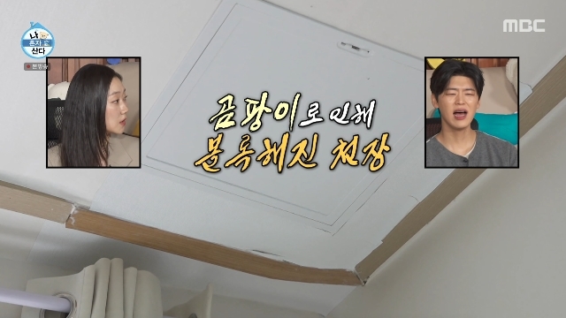 나 혼자 산다 관련 보도 이미지