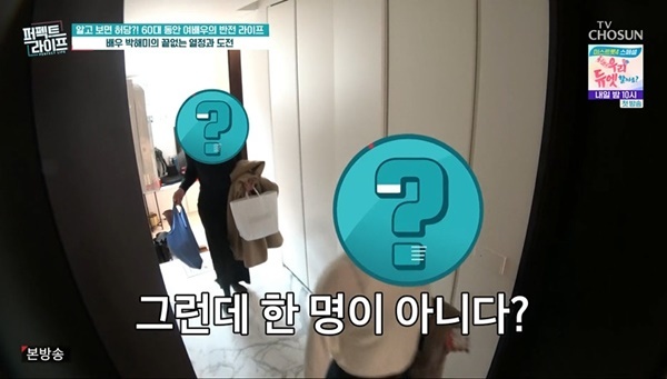 박해미 퍼펙트라이프 방송 관련 이미지