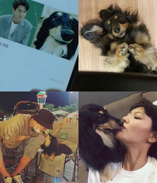 tvN ���ϵ�� ����Ÿ ��ĵ�顯/����ȣ ���� �Ҽȹ̵��