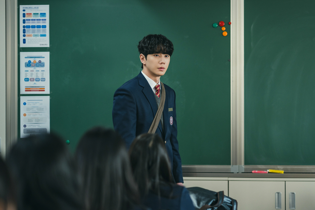 tvN ����