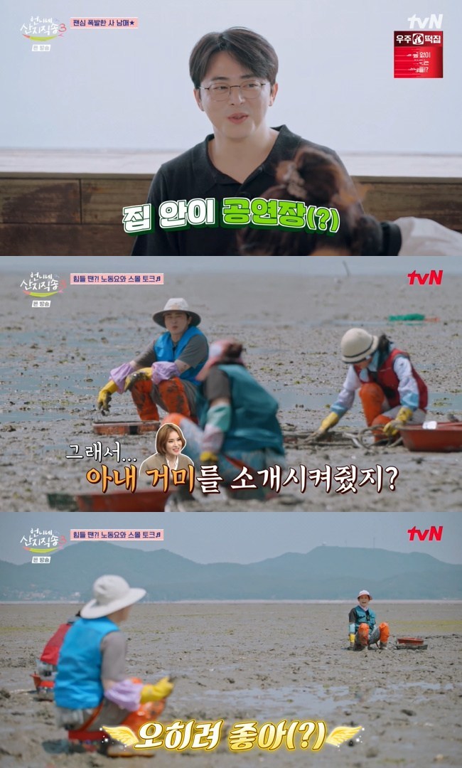 태안 갯벌 조업과 조정석