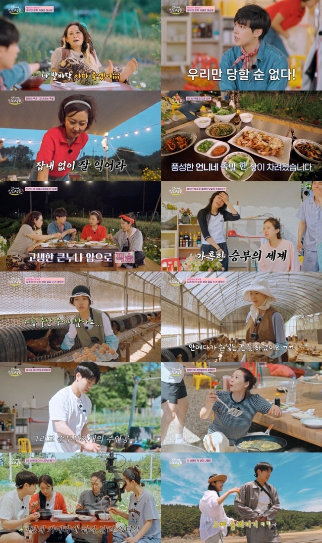태안 양계장 조업과 출연진 단체 대화