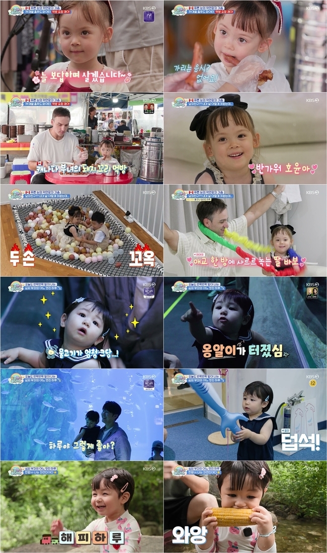 ����=KBS 2TV �����۸��� ���ƿԴ١� ����
