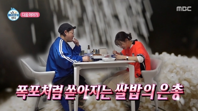 MBC ‘나 혼자 산다’ 캡처