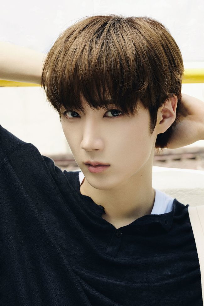 FNC�������θ�Ʈ ����