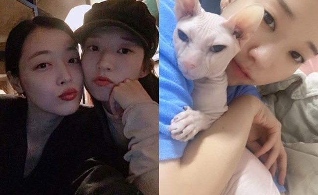 故 설리 7주기, 절친 김선아 “네가 남긴 빛을 품고 살아가”