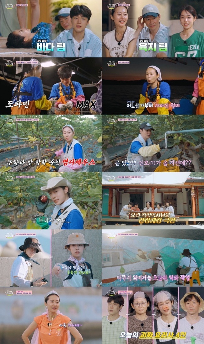 여수 전어 무화과 조업과 벽화 요리 대전